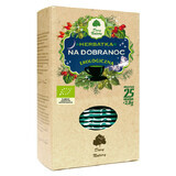 Dary Natury Good Night Tea, organic, 2 g x 25 pliculețe