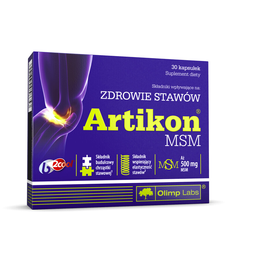 Olimp Artikon MSM, 30 capsule