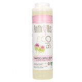 Anthyllis EcoBio, shampoo per capelli grassi e forfora, estratto di bardana, 250 ml