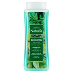 Joanna Naturia, hair shampoo with nettle and green tea, 500 ml