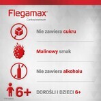 Flegamax 50 mg/ml, soluzione orale, 120 ml