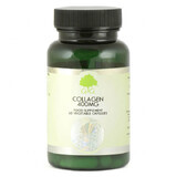 G&G, Collagen 400 mg, 60 capsules