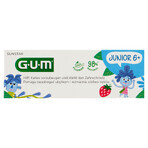 Sunstar Gum Junior, dentifricio, da 6 anni, 50 ml