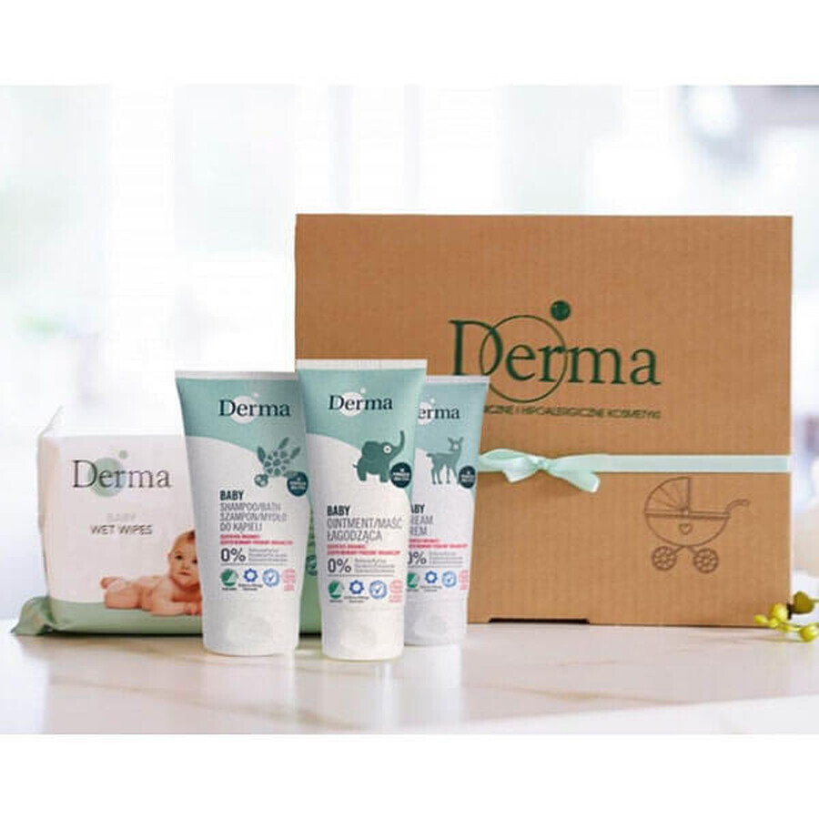 Derma Eco Baby, pomata lenitiva, 100 ml + crema curativa, 100 ml, + shampoo-sapone, 150 ml + salviette umidificate, 64 pezzi