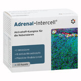 Mito-Pharma Adrenal-Intercell, 120 gélules