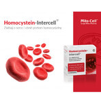 Mito-Pharma Homocysteine Intercell, 90 capsules