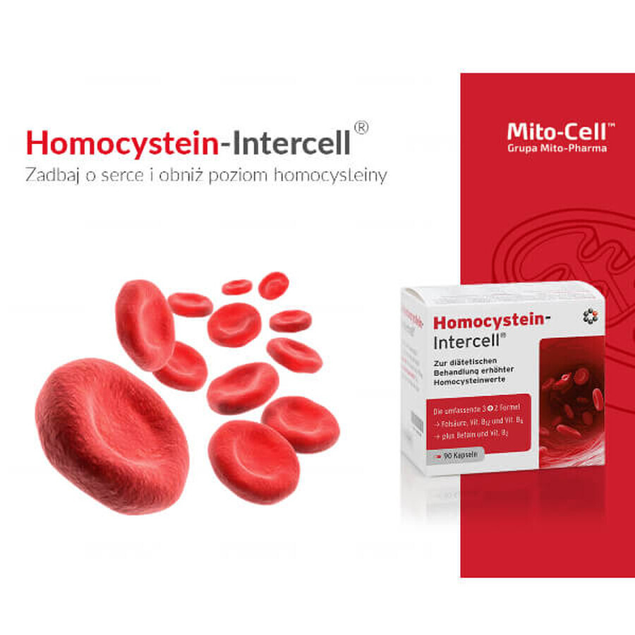 Mito-Pharma Homocysteine Intercell, 90 capsules