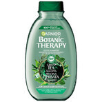 Garnier Botanic Therapy, shampoo rinfrescante per capelli normali con tendenza al grasso, al tè verde, 400 ml