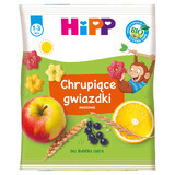 HiPP Stelle croccanti Bio, frutta, 30 g