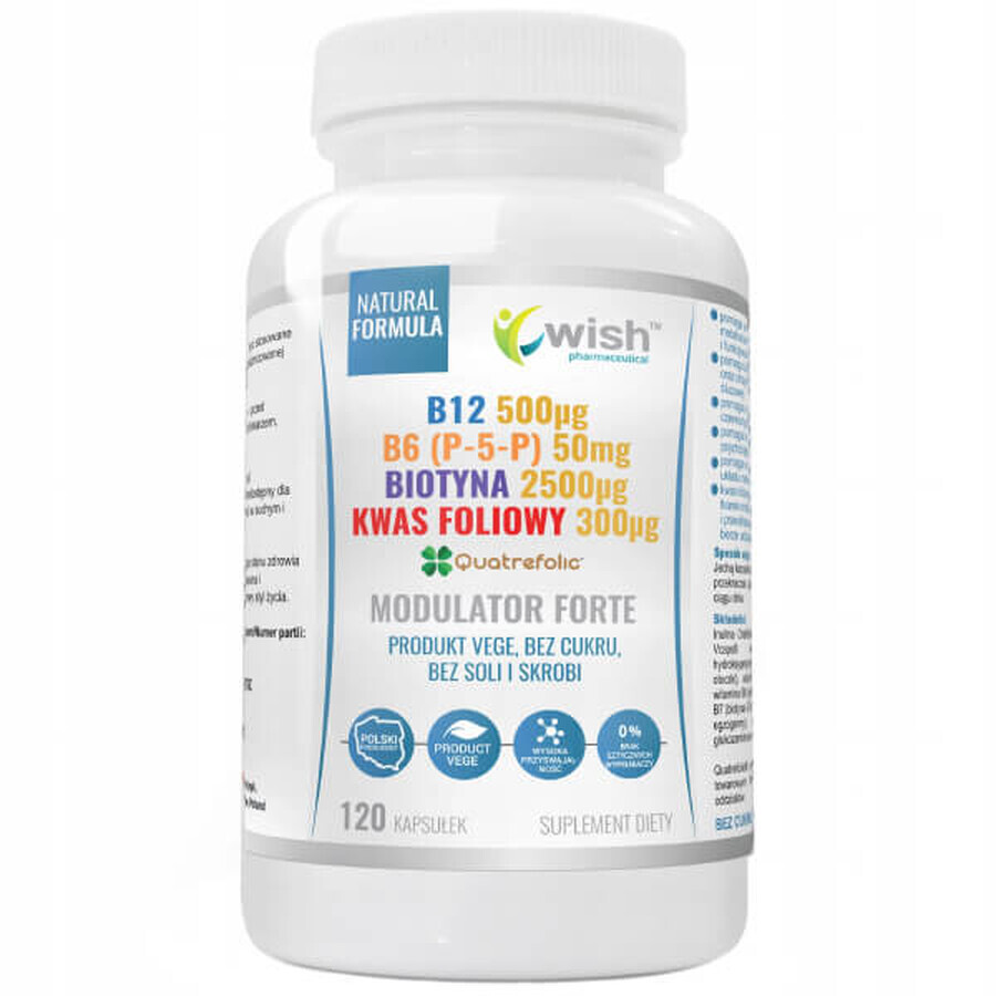 Wish B12 + B6 (P-5-P) + Biotina + Modulatore di acido folico Forte, 120 capsule