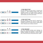 LabHome Strep A'Lert, test con tampone per la gola per la rilevazione di tonsillite batterica e scarlattina, 1 pezzo