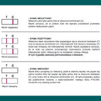 Pylori-Screen, test rapido per il rilevamento degli anticorpi contro l'Helicobacter pylori, 1 pezzo