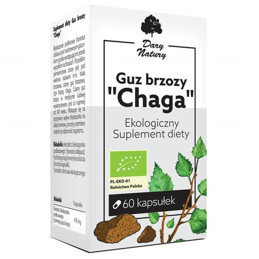 Gift of Nature Chaga Birch Tumor, 60 capsules