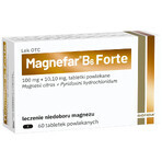 Magnefar B6 Forte 100 mg + 10.10 mg, 60 comprimate filmate