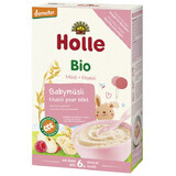 Porridge di muesli Holle Bio con frutta, senza latticini, dopo 6 mesi, 250 g