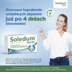 Soledum forte 200 mg, 20 capsule gastroresistenti