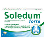 Soledum forte 200 mg, 20 capsule gastroresistenti