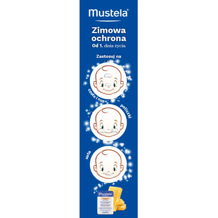 Mustela Bebe Enfant, stick protettivo con crema fredda, dalla nascita, 9,2 g