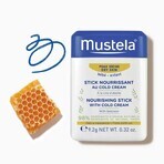 Mustela Bebe Enfant, stick protettivo con crema fredda, dalla nascita, 9,2 g