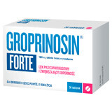 Groprinosin Forte 1000 mg, 30 comprimate