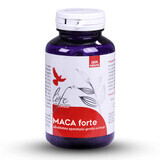 Maca Forte, 60 capsule, Dvr Pharm