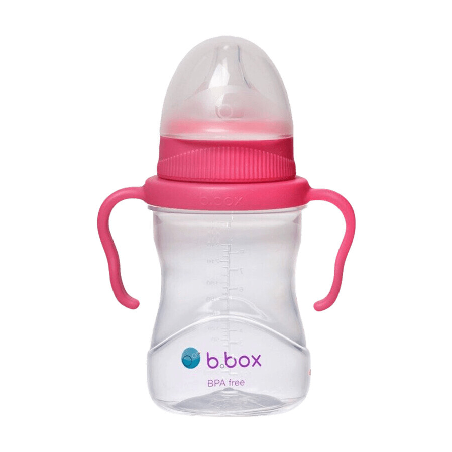 B.Box, vaso para aprender a beber, set 4 en 1, frambuesa, a partir de 4 meses, 240 ml