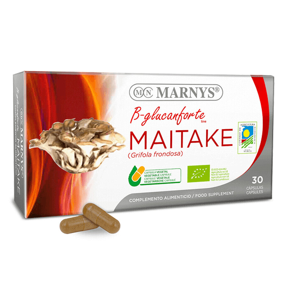 Maitake, 30 capsules, Marnys