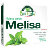 Olimp Pure Herbs Melissa Premium, 30 capsule