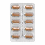 Bust-Up Big Pack, 90 capsules