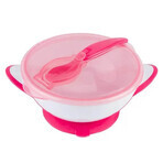 BabyOno, bowl with suction cup and spoon, 1063/03, for babies and children, 300 ml, 1 pc