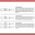 Test di ovulazione L-Check-1 Midstream, confezione da 1 (5 test)