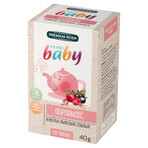 Premium Rosa Herbi Baby Immunity, un tè per neonati e bambini a partire da 6 mesi, 20 bustine