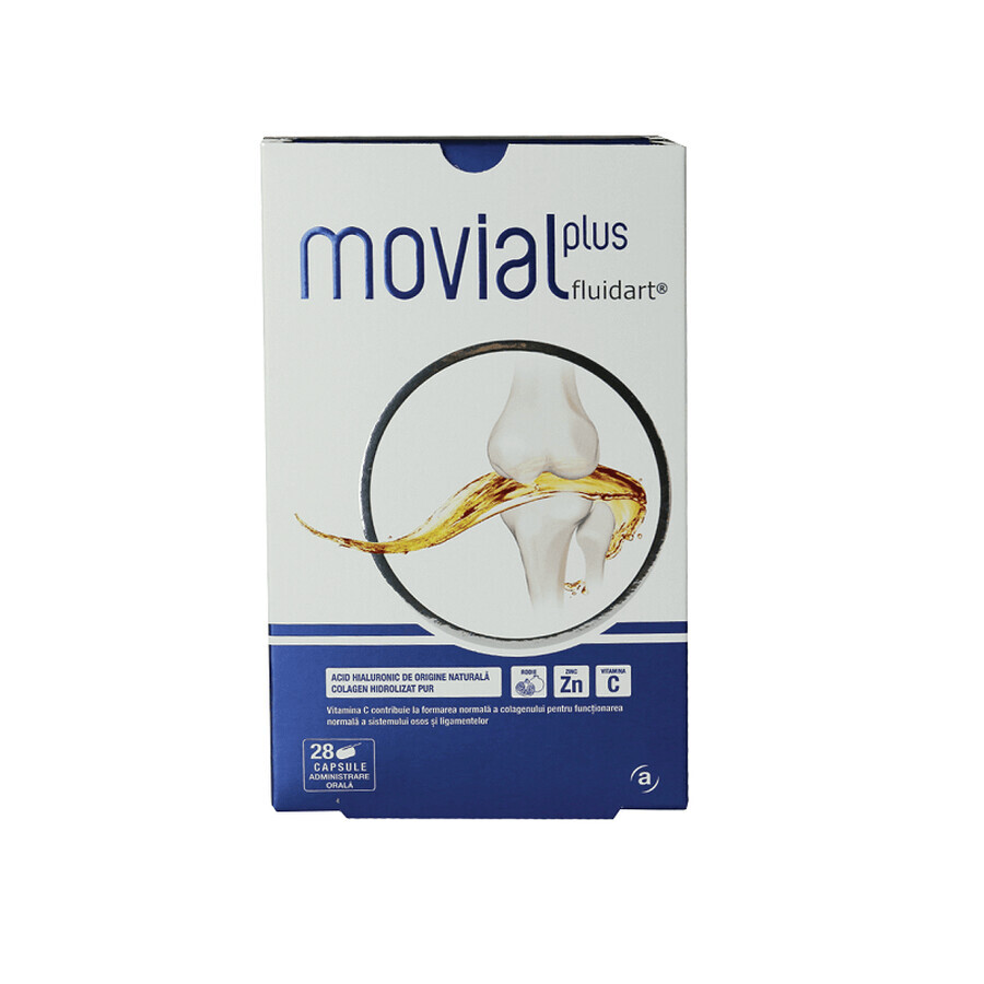 Movial Plus Fluidart, 28 capsule, ActaFarma