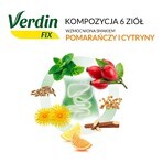 Verdin Fix agli agrumi, 20 bustine