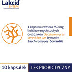 Lakcid Entero 250 mg, 10 capsule