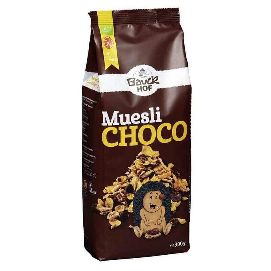 Muesli croccante con cioccolato, senza glutine Eco, 300g, Bauckhof