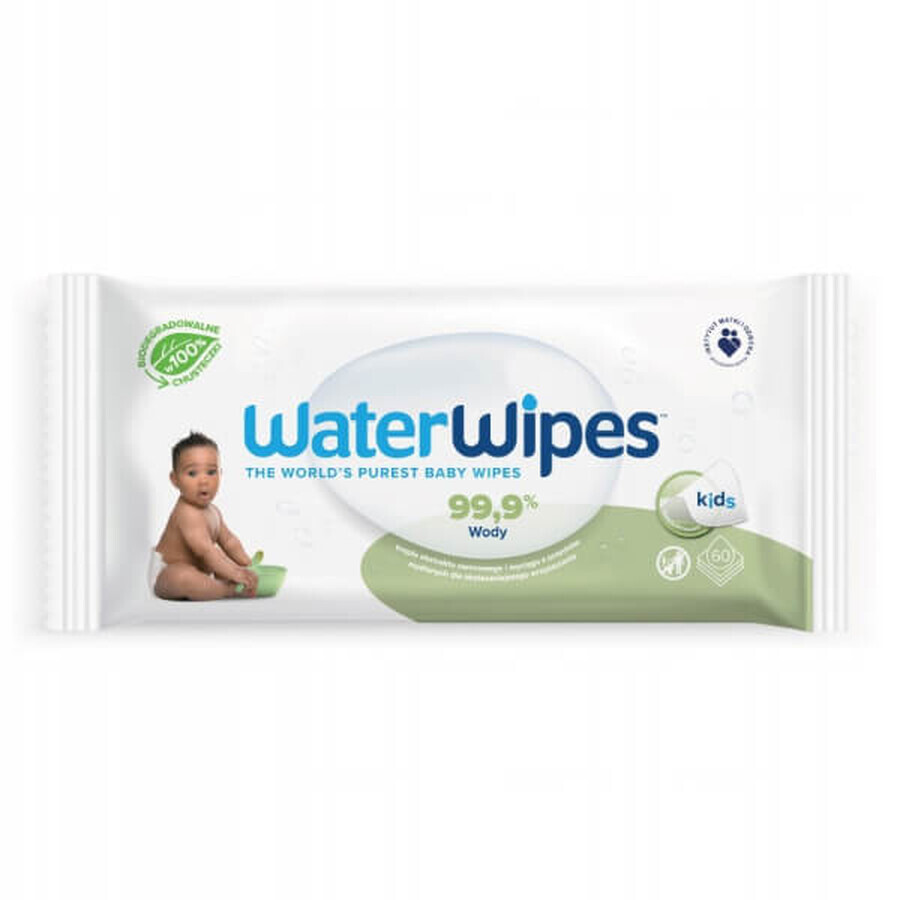 WaterWipes Soapberry Bio, salviette umidificate, acqua con estratto di bacche di sapone, dalla nascita, 4 x 60 pezzi 