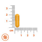 SEMA Lab Vitamina C 1000 mg, 10 capsule di cellulosa