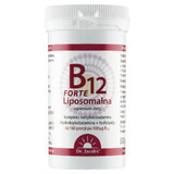 B12 Liposomal Forte del Dr. Jacob, polvere sublinguale, aroma di ribes e mango, 80 g