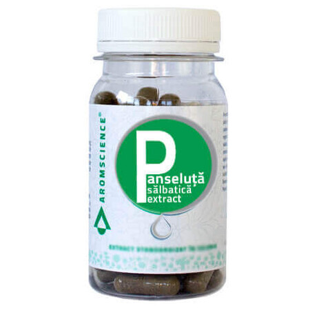 Panseluta Salbatica Extrakt Aromscience, 60 Kapseln, Dvr Pharm