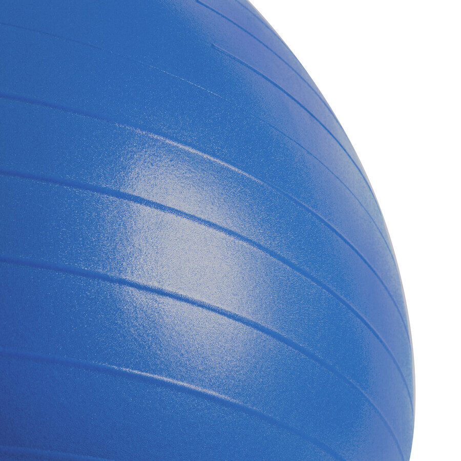 Spokey Fitball, palla da ginnastica con pompa, blu, 65 cm, 1 pezzo