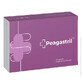 Peagastril, 15 capsule, Naturpharma