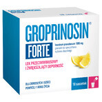 Groprinosin Forte 1000 mg, granule pentru soluție orală, 10 plicuri