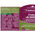 Herbagetica Foglie di Olivo x 60cps