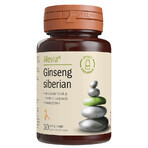 Ginseng Siberian, 30 capsule vegetale, Alevia