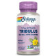 Estratto di frutta Tribulus, 450mg, 60 capsule vegetali, Solaray