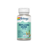 Psyllium Husk, 525 mg, 100 Veggie Capsules, Solaray