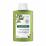 Shampoo All'Estratto Di Ulivo Klorane 200ml