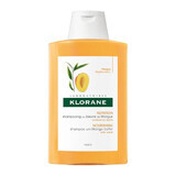 Voedende shampoo met mango-extract, 400 ml, Klorane