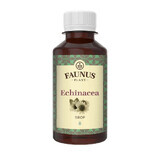 Echinacea Syrup, 200ml, Faunus Plant